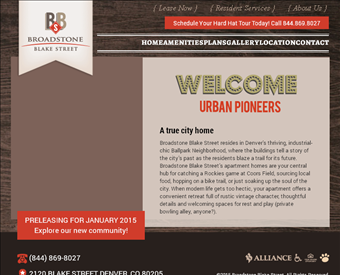 Broadstone Blake Street web screenshot