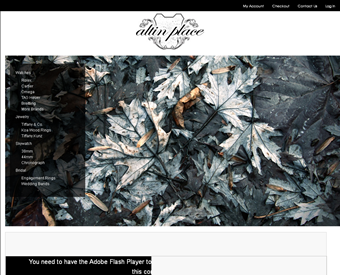 Altin Place web screenshot