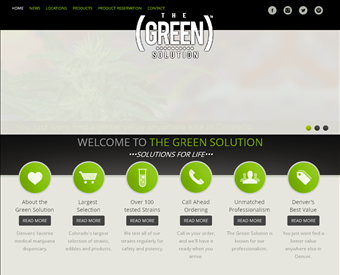 The Green Solution web screenshot