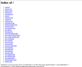 Laguna Hills Moving Stars web screenshot