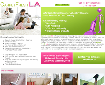 Carpet Fresh web screenshot