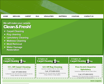Carpet Cleaning Pros web screenshot