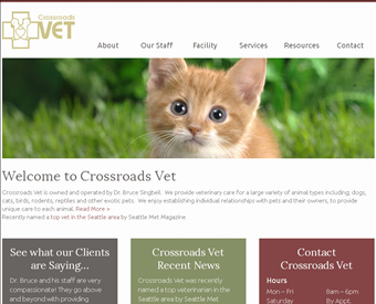Bellevue Crossroads Vet web screenshot