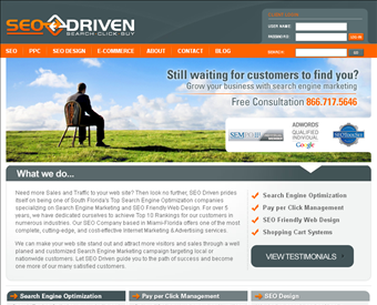 SEO Driven web screenshot