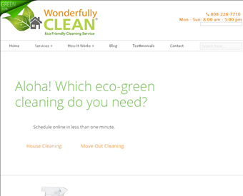 Wonderfully Clean LLC web screenshot