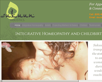 Sukuun Holistics web screenshot