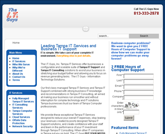 The IT Guys web screenshot