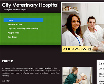 City Veterinary Hospital web screenshot
