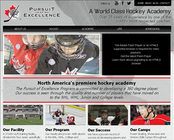 Pursuit Of Excellence - Female Hockey Scool Anaheim web screenshot