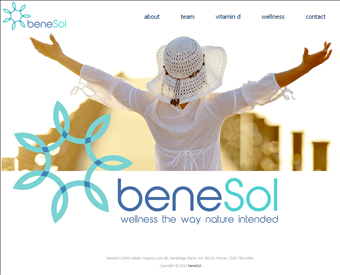 BeneSol web screenshot