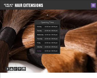 Chicago Hair Extensions Salon web screenshot