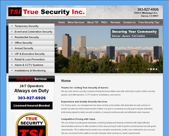 True Security Inc. web screenshot