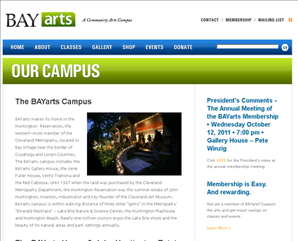 BAYarts web screenshot