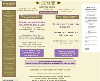 Serendipity Massage Therapy and Spa web screenshot